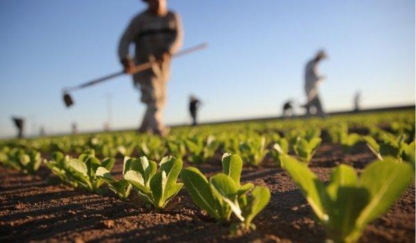 Tarım Sektöründe Su Arıtma Su Arıtma